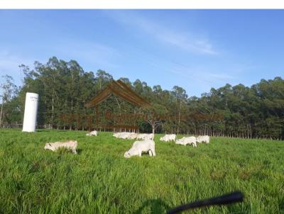 Stio para Venda, em Terenos, bairro rea rural