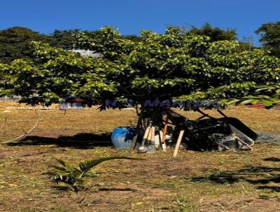 Terreno para Venda, em Igarat, bairro Agua Branca