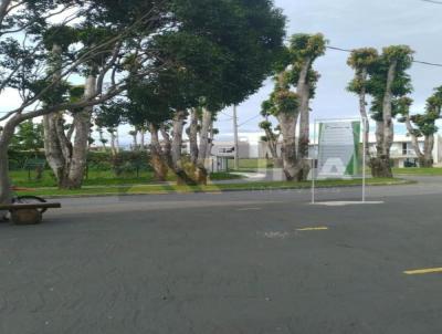 Terreno para Venda, em Igarap?, bairro Reserva Ouro Velho