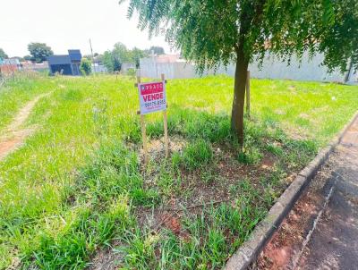 Terreno para Venda, em Indiana, bairro RESIDENCIAL AMLIA RIBEIRO III