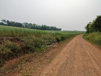 rea Rural para Venda, em Porto Mau, bairro Campo Alegre