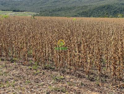 Fazenda para Venda, em Caldas Novas, bairro Zona Rural