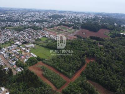 Terreno para Venda, em Erechim, bairro CRISTAL