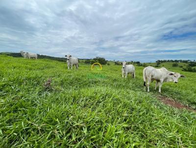 Fazenda para Venda, em gua Limpa, bairro Zona Rural