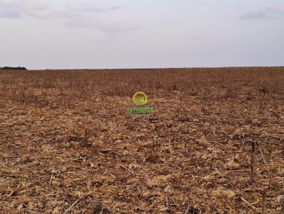 Fazenda para Venda, em Cristianpolis, bairro Zona Rural