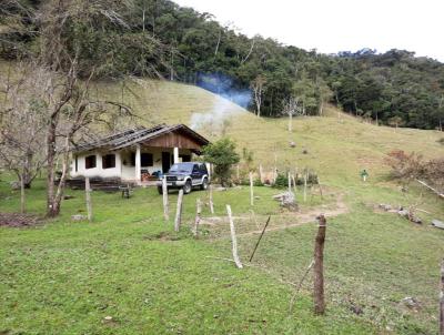 Stio para Venda, em Nova Friburgo, bairro Maca de Cima