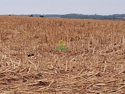 Fazenda para Venda, em Cristianpolis, bairro Zona Rural