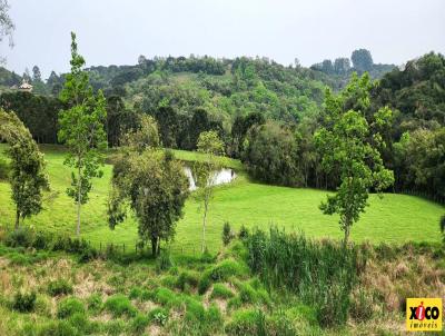 Terreno para Venda, em Nova Petrpolis, bairro Linha Imperial