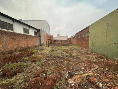 Terreno para Venda, em Jata, bairro Setor Antena