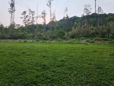 Chcara para Venda, em Francisco Beltro, bairro .