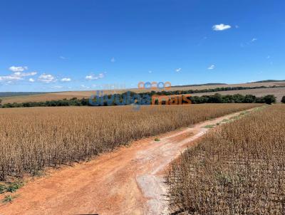 Fazenda para Venda, em Caldas Novas, bairro Zona rural