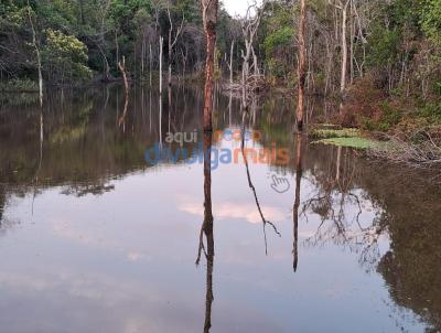 Fazenda para Venda, em Cristianpolis, bairro Zona rural