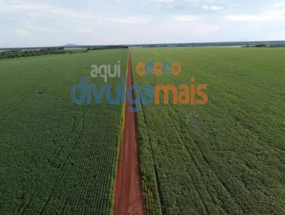 Fazenda para Venda, em Itumbiara, bairro Zona rural