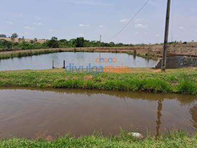 Fazenda para Venda, em Cristianpolis, bairro Zona rural