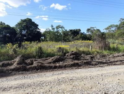 rea para Venda, em Araquari, bairro Porto Grande