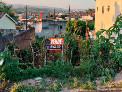 Terreno para Venda, em Bom Conselho, bairro Centro