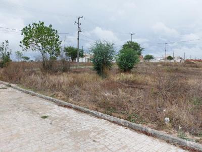 Terreno para Venda, em Bom Conselho, bairro Centro