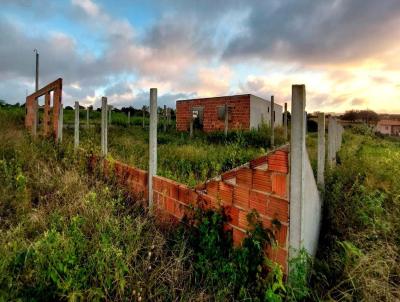 Terreno para Venda, em Bom Conselho, bairro Zona Rural