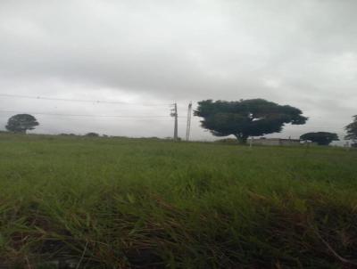 Terreno para Venda, em So Joo, bairro Zona Rural