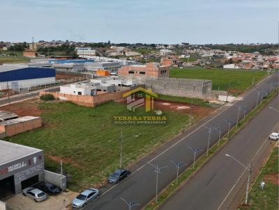 Terreno para Venda, em Telmaco Borba, bairro Monte Sinai