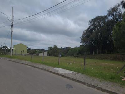 Terreno para Venda, em Pin, bairro Avencal