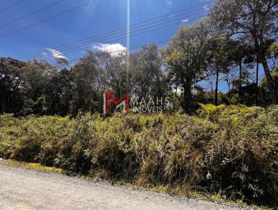 Terreno para Venda, em So Bento do Sul, bairro Braslia