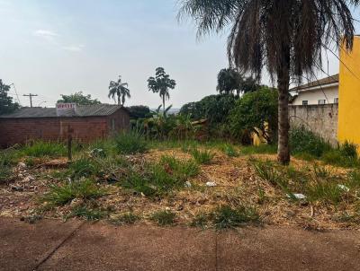 Terreno para Venda, em Jata, bairro Setor Fabriny