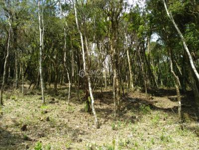 Terreno Condomnio Rural para Venda, em Rancho Queimado, bairro Centro