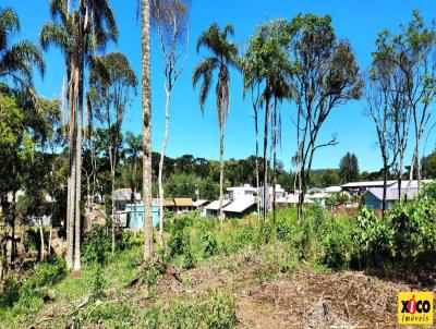 Terreno para Venda, em Nova Petrpolis, bairro Vila Germnia