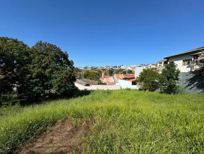 Terreno para Venda, em Bragana Paulista, bairro Jardim Europa