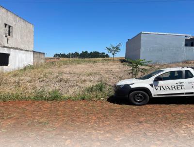 Lote para Venda, em Nova Prata do Iguau, bairro So Cristovo