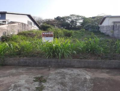 Terreno para Venda, em Bragana Paulista, bairro Jardim das Paineiras