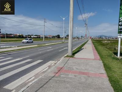 Terreno para Venda, em Palhoa, bairro Bela Vista