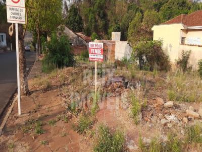 Terreno para Venda, em Ribeiro Bonito, bairro Centro