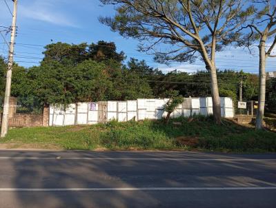 Terreno Comercial para Venda, em Porto Alegre, bairro Belm Velho