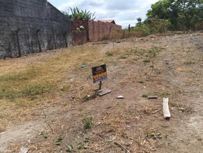 Terreno para Venda, em , bairro TCO