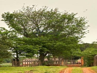 Chcara para Venda, em Foz do Iguau, bairro APARECIDINHA