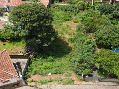 imagem-miniatura