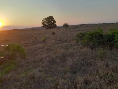 Fazenda para Venda, em Nova Marilndia, bairro MARILANDIA