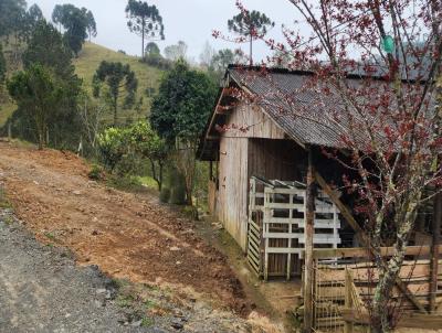 Chcara para Venda, em Bom Retiro, bairro Interior, 3 dormitrios, 1 banheiro