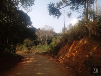 Chcara para Venda, em Mandirituba, bairro ESPIGO DAS ANTAS