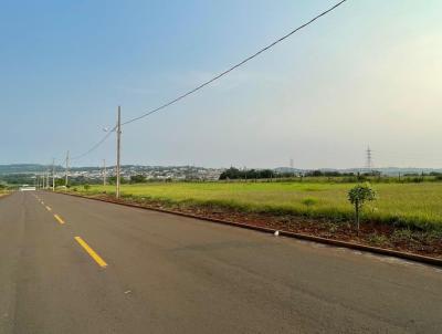 Lote para Venda, em So Miguel do Iguau, bairro Alto da Boa Vista