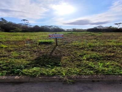 Terreno para Venda, em Guaramirim, bairro Bananal do Sul