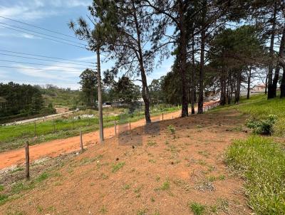 Terreno para Venda, em Suzano, bairro Cidade Edson