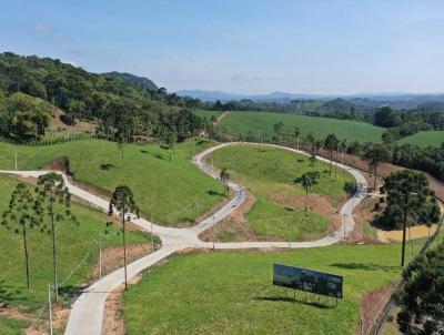 Terreno para Venda, em Campo Alegre, bairro Centro