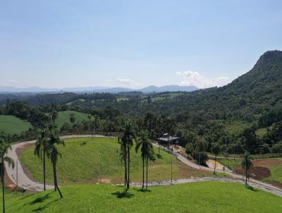 Terreno para Venda, em Campo Alegre, bairro Centro