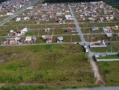 imagem-miniatura