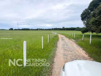 Fazenda para Venda, em Araruama, bairro So Vicente de Paula