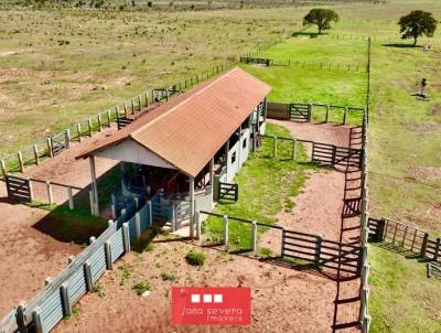 Fazenda para Venda, em Nova Alvorada do Sul, bairro 