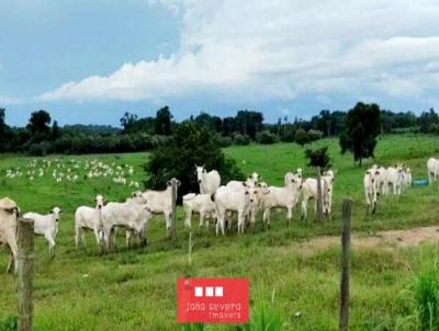 Fazenda para Venda, em Sete Barras, bairro 